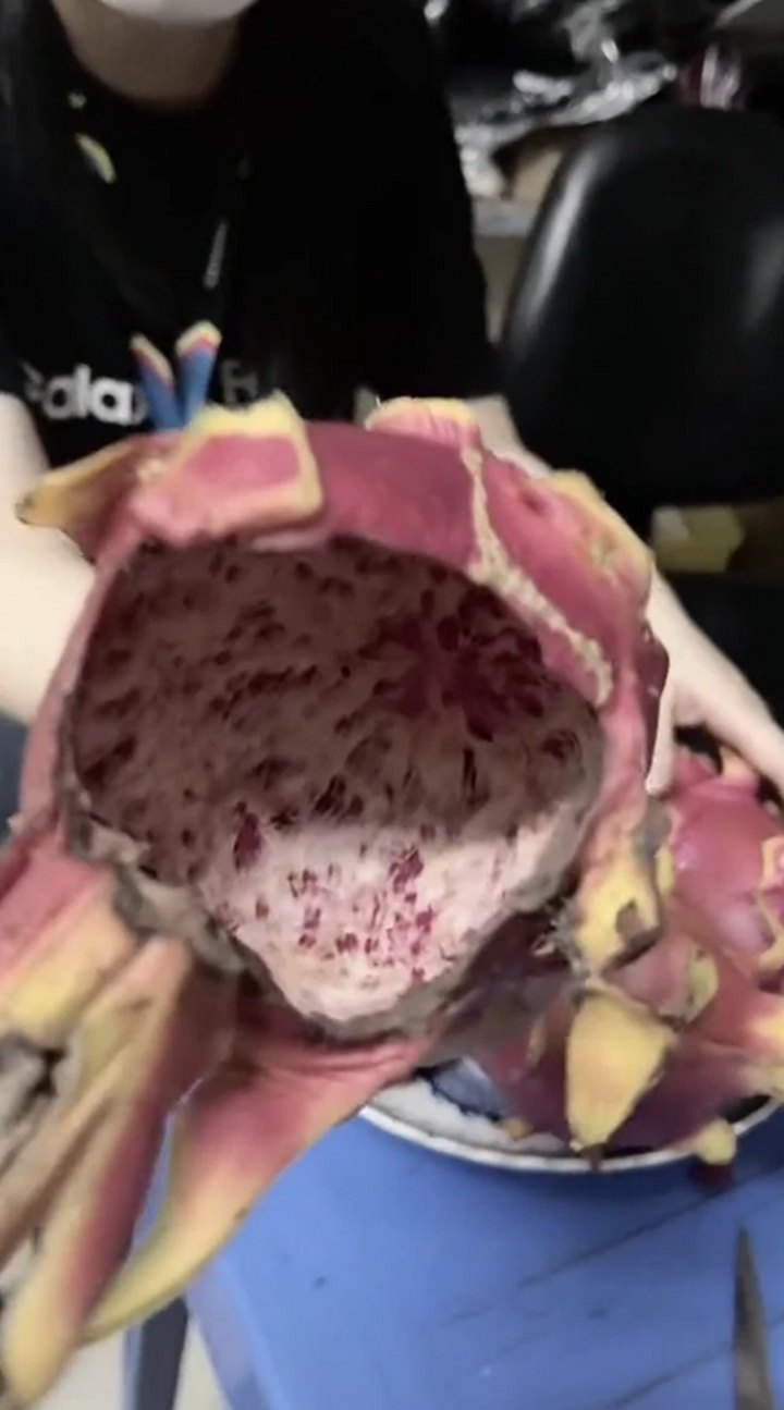 Càng cận Tết, 'thảm họa' xuất hiện càng nhiều khiến dân tình cười không thở nổi - 9