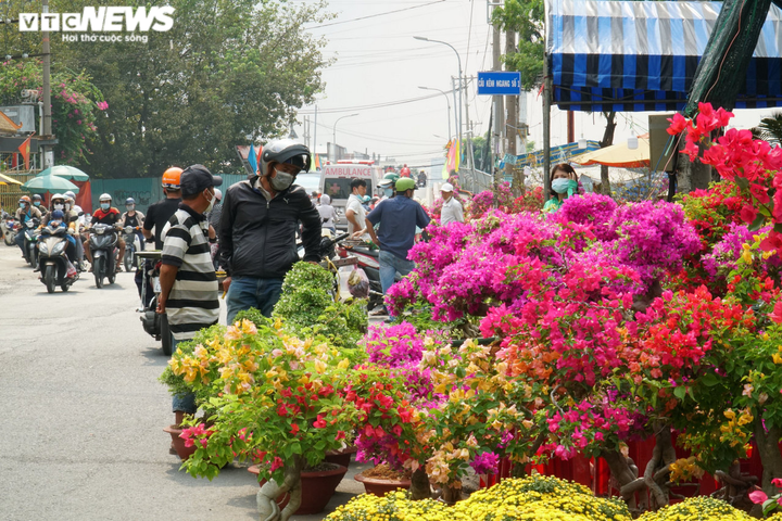 Ảnh: Chợ hoa 'Trên bến dưới thuyền' ở TP.HCM nhộn nhịp ngày giáp Tết - 5