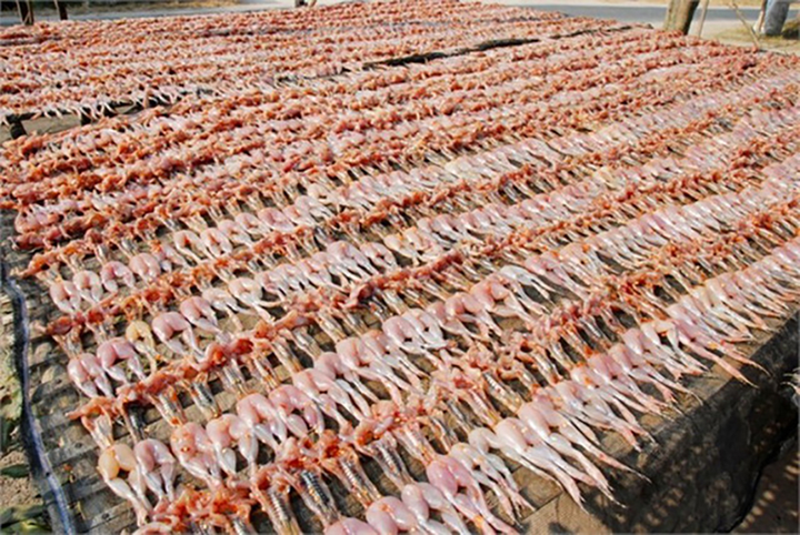 'Vũ nữ chân dài' - Đặc sản miền Tây, dịp Tết cháy hàng dù 500.000 đồng/ký - 4