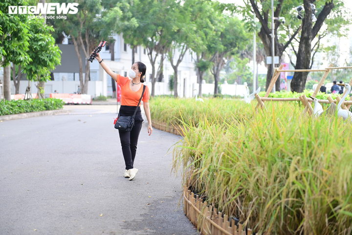 Ảnh: Hội hoa xuân Phú Mỹ Hưng tái hiện không gian Tết từ nhiều miền trên cả nước - 6