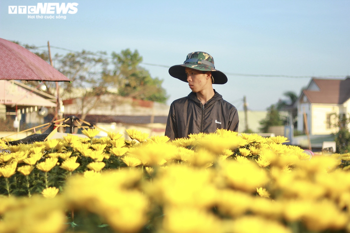 Hoa, cây cảnh Tết giảm giá mạnh vẫn ế ẩm, tiểu thương lo lắng ngóng khách mua - 10