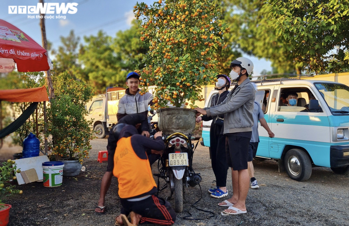 Hoa, cây cảnh Tết giảm giá mạnh vẫn ế ẩm, tiểu thương lo lắng ngóng khách mua - 9