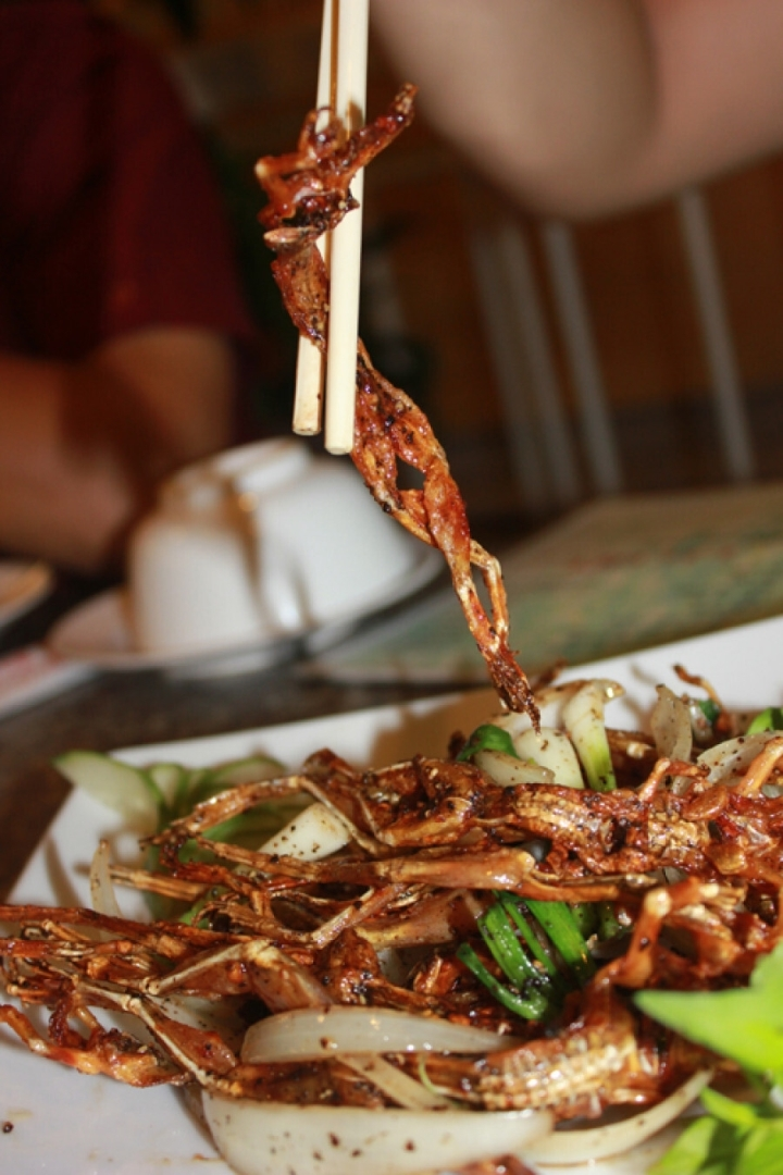 'Vũ nữ chân dài' - Đặc sản miền Tây, dịp Tết cháy hàng dù 500.000 đồng/ký - 3