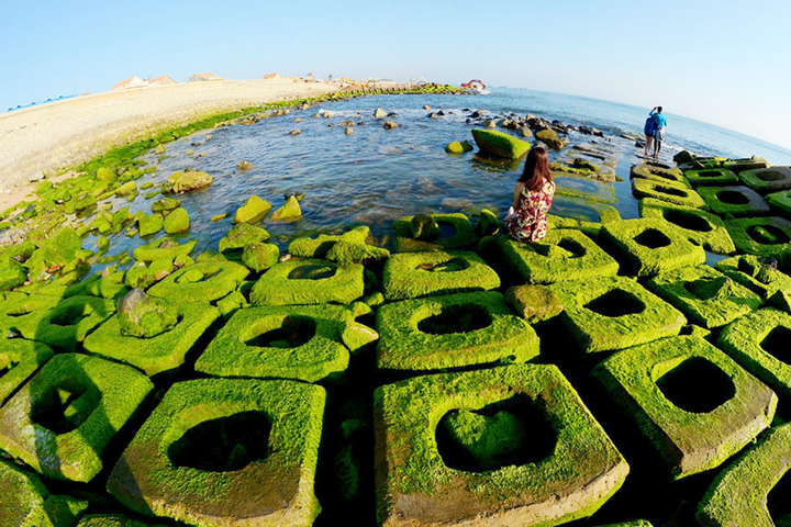 Xuân về, Phú Yên lại hiện lên một ‘thiên đường rêu xanh’ đẹp mê ly - 7