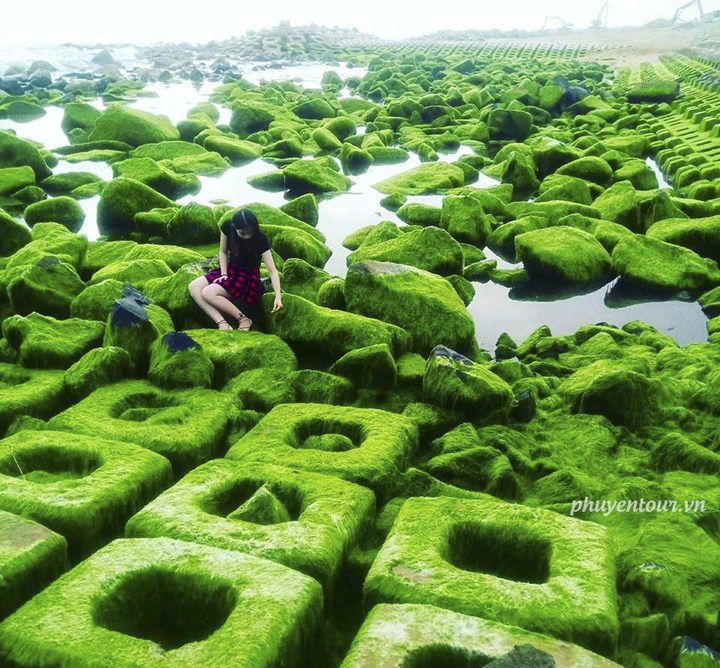 Xuân về, Phú Yên lại hiện lên một ‘thiên đường rêu xanh’ đẹp mê ly - 10
