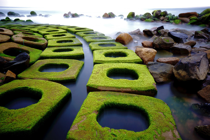 Xuân về, Phú Yên lại hiện lên một ‘thiên đường rêu xanh’ đẹp mê ly - 2