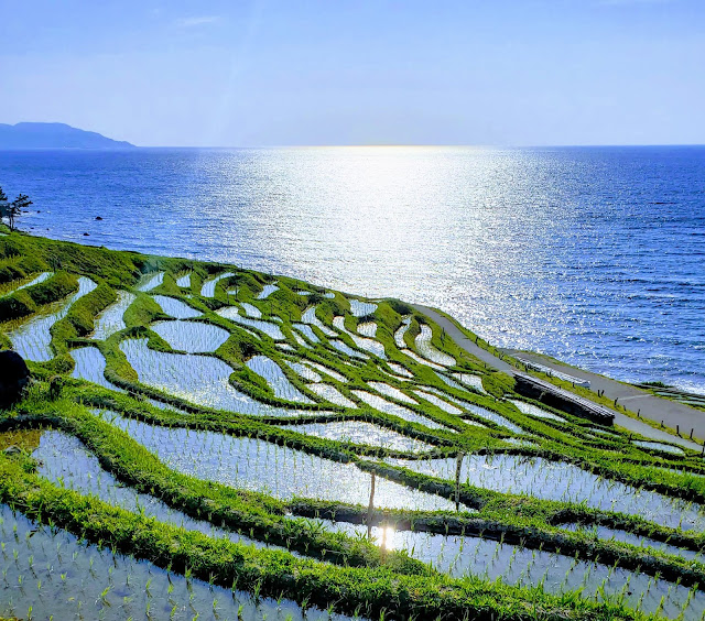 Cảnh siêu thực nơi ruộng bậc thang ‘hòa làm một’ với biển, về đêm càng lộng lẫy - 10