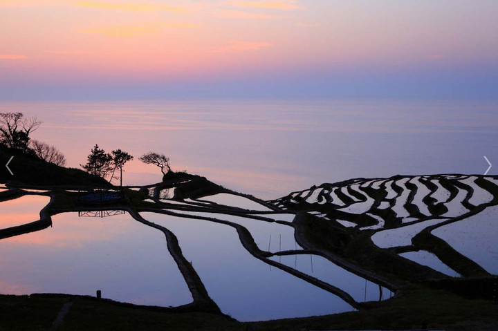 Cảnh siêu thực nơi ruộng bậc thang ‘hòa làm một’ với biển, về đêm càng lộng lẫy - 4