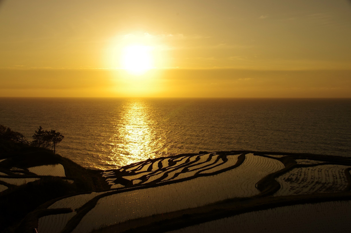 Cảnh siêu thực nơi ruộng bậc thang ‘hòa làm một’ với biển, về đêm càng lộng lẫy - 9