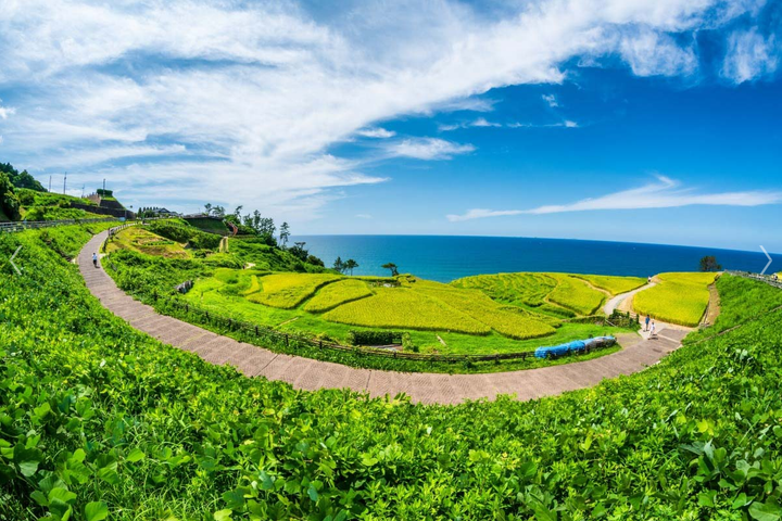 Cảnh siêu thực nơi ruộng bậc thang ‘hòa làm một’ với biển, về đêm càng lộng lẫy - 2