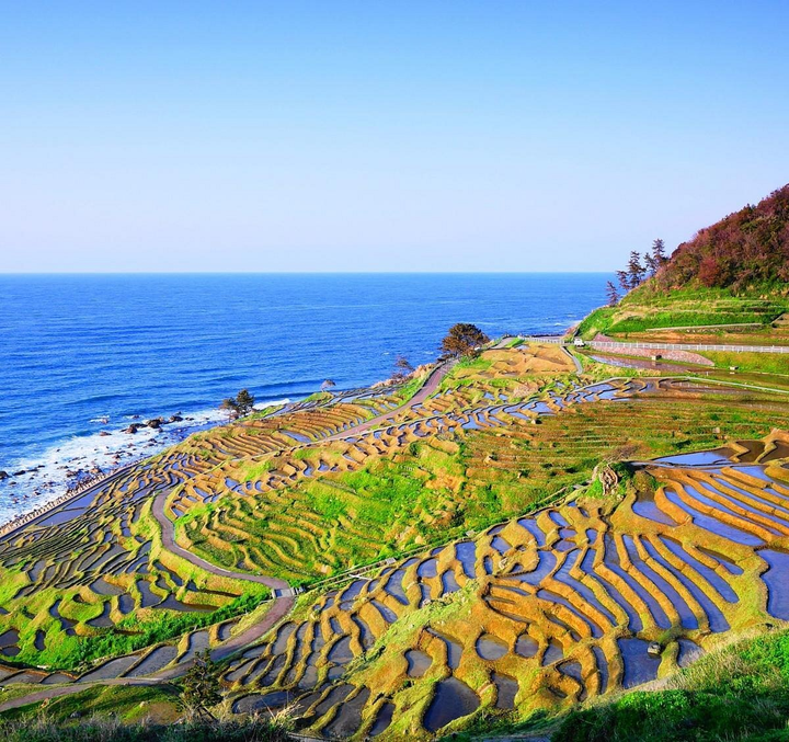 Cảnh siêu thực nơi ruộng bậc thang ‘hòa làm một’ với biển, về đêm càng lộng lẫy - 14