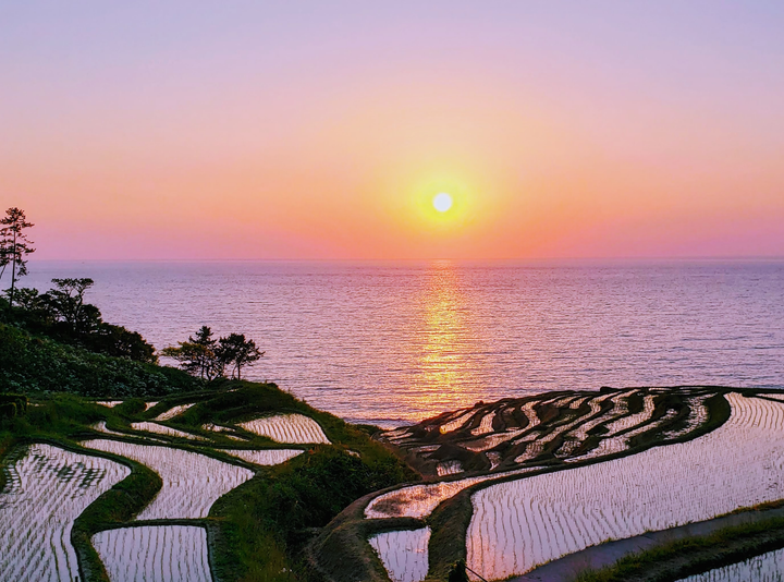 Cảnh siêu thực nơi ruộng bậc thang ‘hòa làm một’ với biển, về đêm càng lộng lẫy - 8