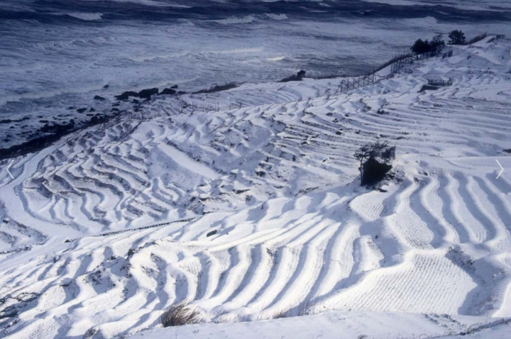 Cảnh siêu thực nơi ruộng bậc thang ‘hòa làm một’ với biển, về đêm càng lộng lẫy - 6