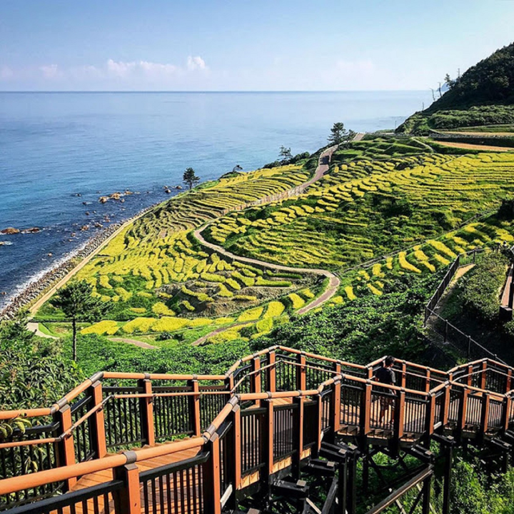Cảnh siêu thực nơi ruộng bậc thang ‘hòa làm một’ với biển, về đêm càng lộng lẫy - 1