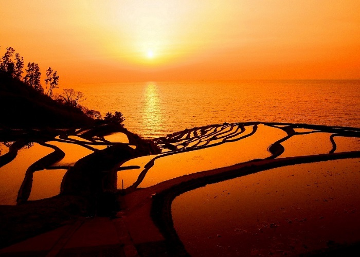 Cảnh siêu thực nơi ruộng bậc thang ‘hòa làm một’ với biển, về đêm càng lộng lẫy - 7