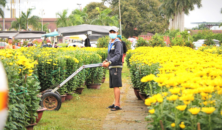 Tiểu thương chợ hoa xuân Đà Nẵng bán hạ giá, chạy mưa ngày cuối năm - 2