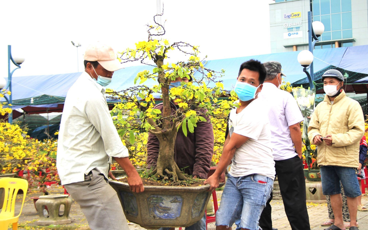 Tiểu thương chợ hoa xuân Đà Nẵng bán hạ giá, chạy mưa ngày cuối năm - 3