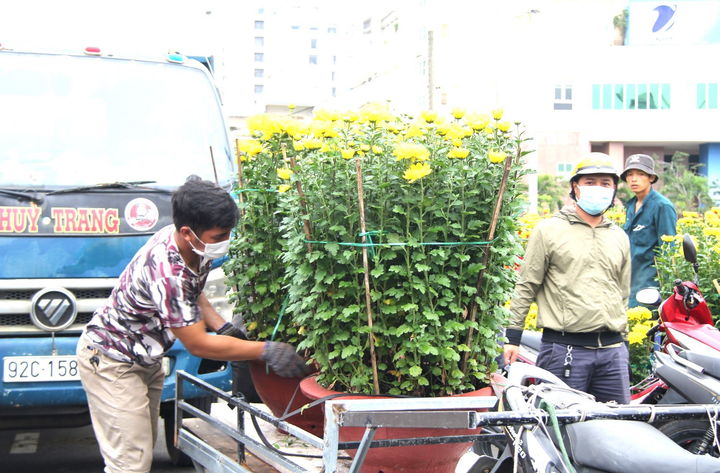 Tiểu thương chợ hoa xuân Đà Nẵng bán hạ giá, chạy mưa ngày cuối năm - 6