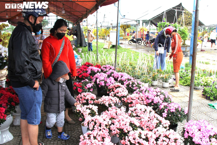 Tiểu thương chợ hoa xuân Đà Nẵng bán hạ giá, chạy mưa ngày cuối năm - 4