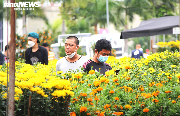 Tiểu thương chợ hoa xuân Đà Nẵng bán hạ giá, chạy mưa ngày cuối năm - 7