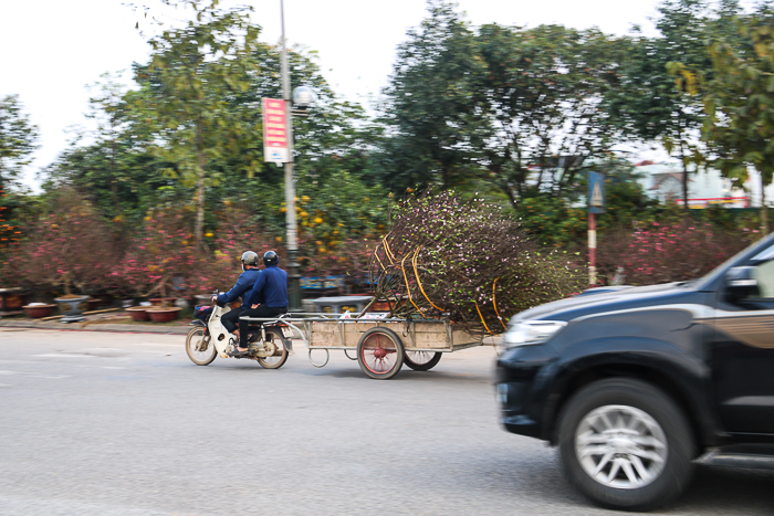 Ảnh: Kiếm tiền triệu mỗi ngày từ nghề 'chở Tết’ - 6