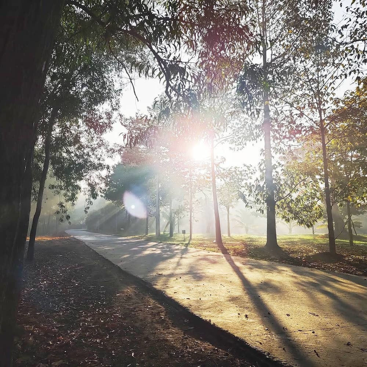 Tết 2022: Chụp ảnh bằng điện thoại sao cho đẹp? - 1