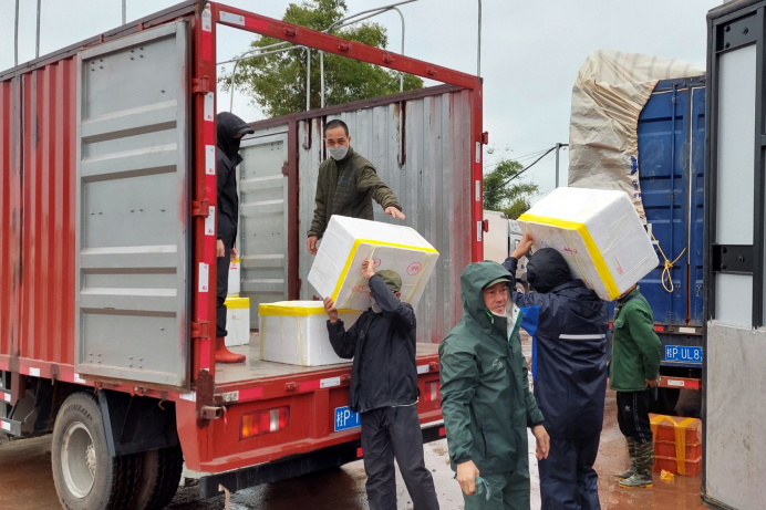 Mùng 3 Tết, mở cầu phao thông hàng qua Trung Quốc - 3