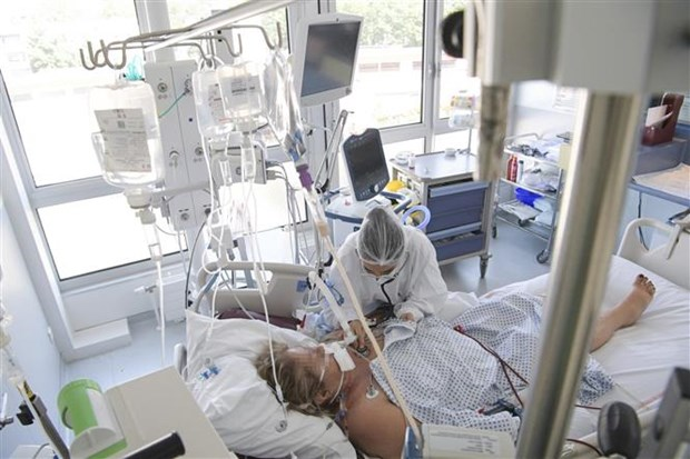 Thiếu vitamin D có thể làm tăng triệu chứng nặng khi mắc COVID-19 - 1