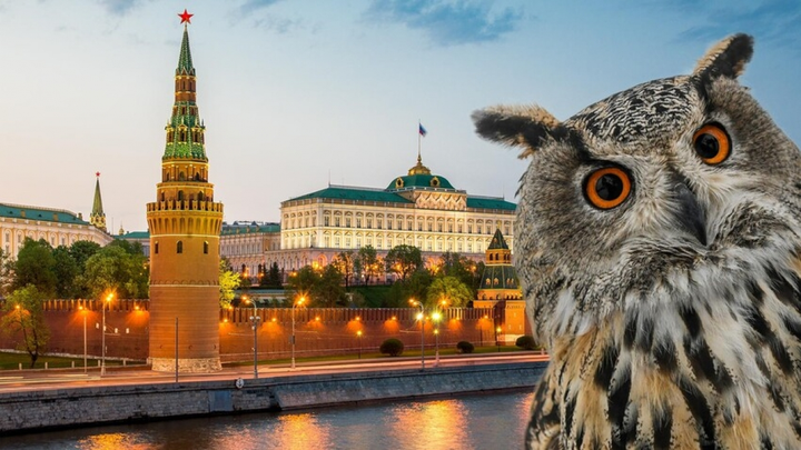 Không phải Tổng thống Nga, ai là người sinh sống trong điện Kremlin? - 1