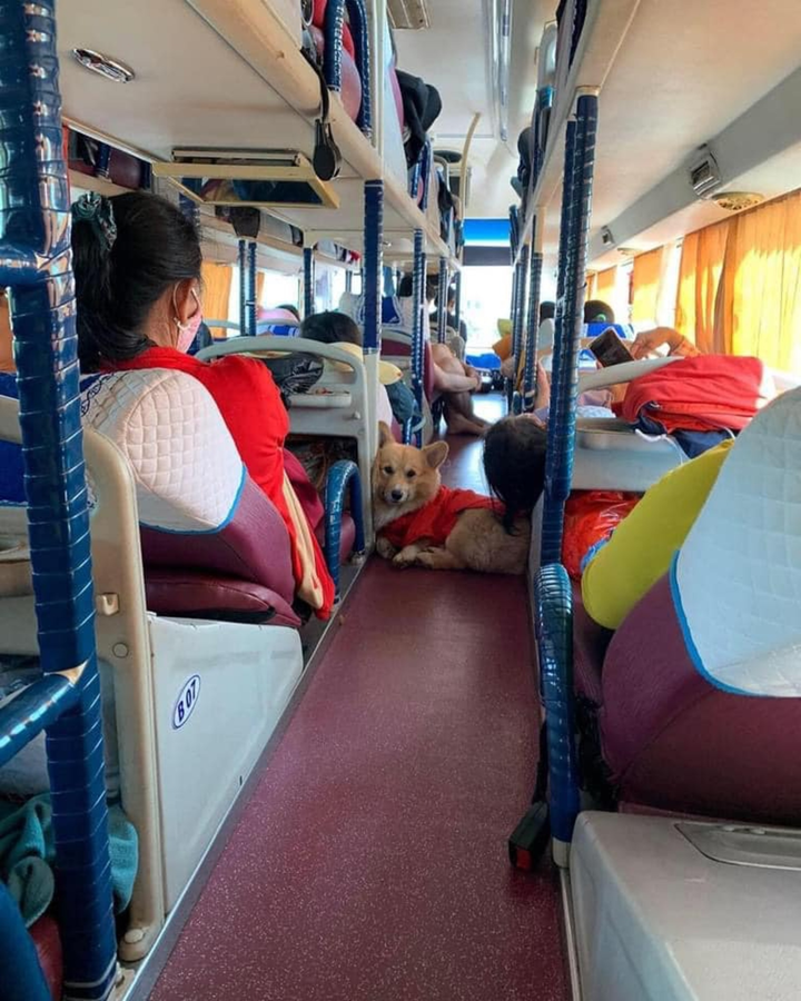 Hình ảnh 'dư âm ngày tết' khiến dân tình vừa gật gù vừa cười không ngớt - 10