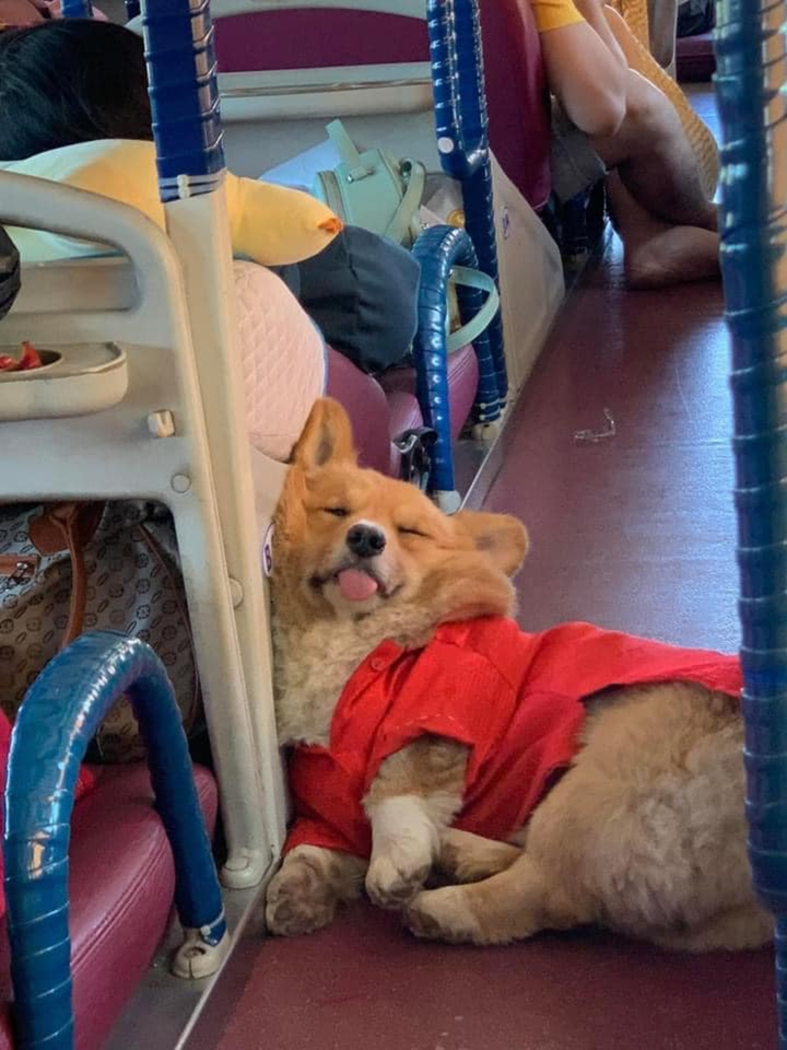 Hình ảnh 'dư âm ngày tết' khiến dân tình vừa gật gù vừa cười không ngớt - 11