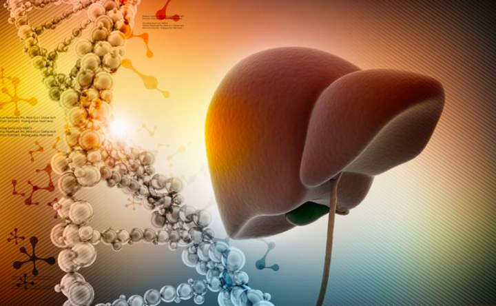 Uống rượu gây hại rất lớn cho gan: Việc cần làm ngay giúp gan hồi phục sau Tết - 2