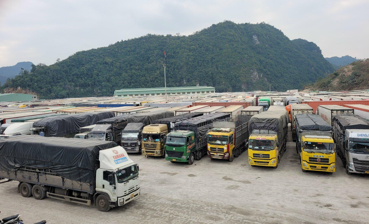 Xử lý nghiêm hành vi lợi dụng ùn tắc hàng hoá để phạm pháp - 1