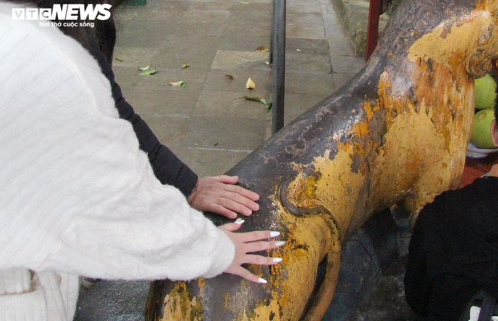 Ảnh: Hàng ngàn người dân đổ về chùa Hương Tích để sờ tượng hổ - 7