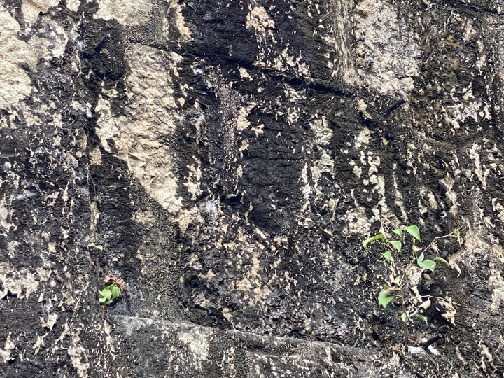 Ba công trình đại thủy nông ở miền Trung - 3