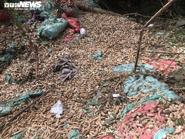 Tai nạn thảm khốc khiến 6 người chết ở Gia Lai: Xe chở quá số người cho phép - 2