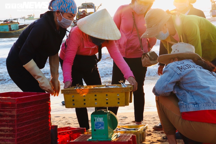 Ảnh: Đầu năm, ngư dân Quảng Bình trúng đậm cá, tôm - 5