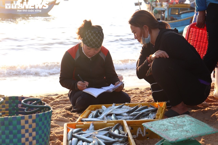 Ảnh: Đầu năm, ngư dân Quảng Bình trúng đậm cá, tôm - 8