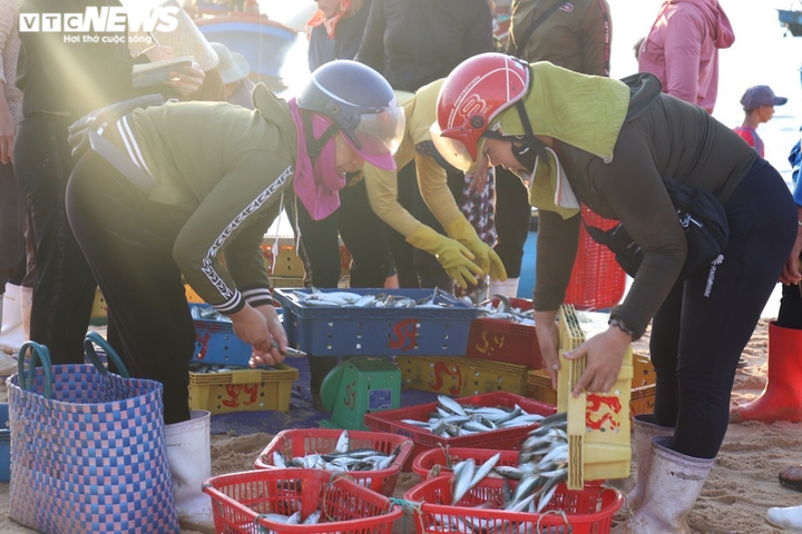 Ảnh: Đầu năm, ngư dân Quảng Bình trúng đậm cá, tôm - 9