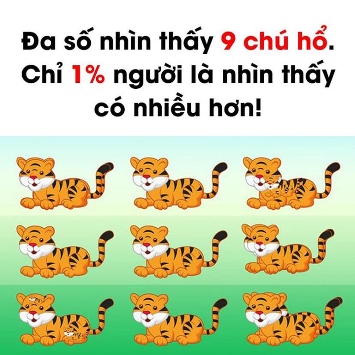 Có bao nhiêu chú hổ trong bức hình? - 1