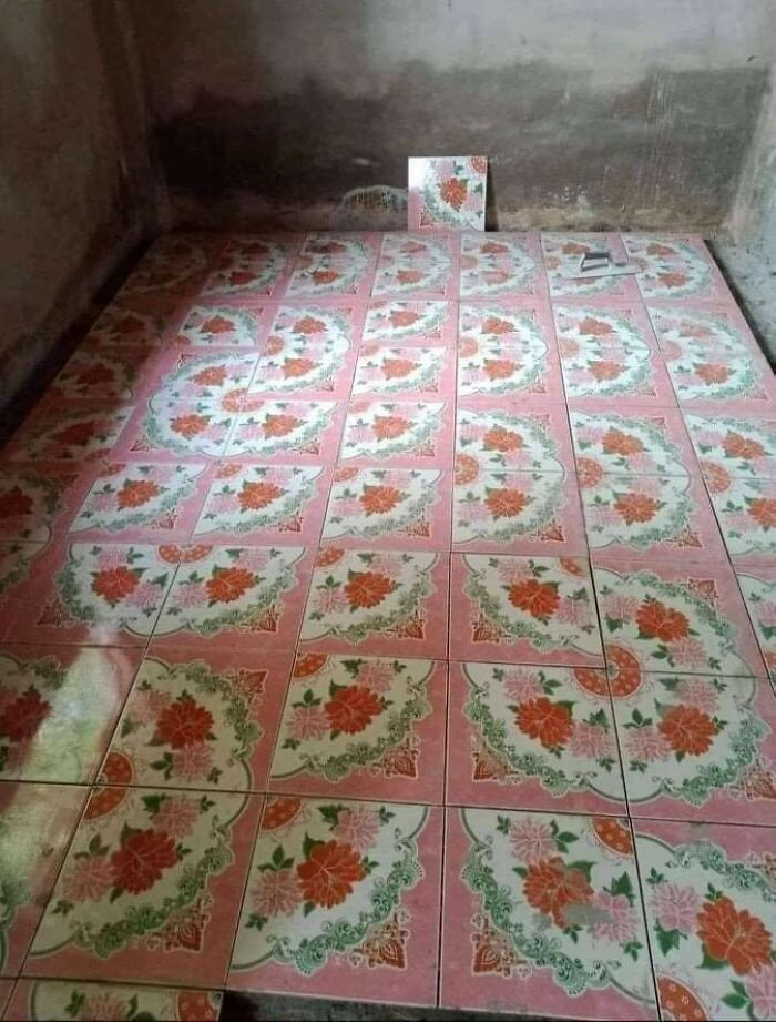 Loạt hình ảnh gây bất lực cao độ, muốn cười không được mà giận cũng không xong - 1