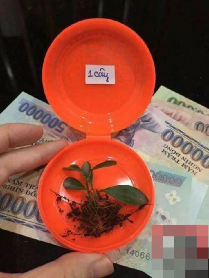 Dân mạng lũ lượt khoe thành quả mua vàng ngày vía Thần Tài, nhưng nhìn cứ lạ lắm - 8