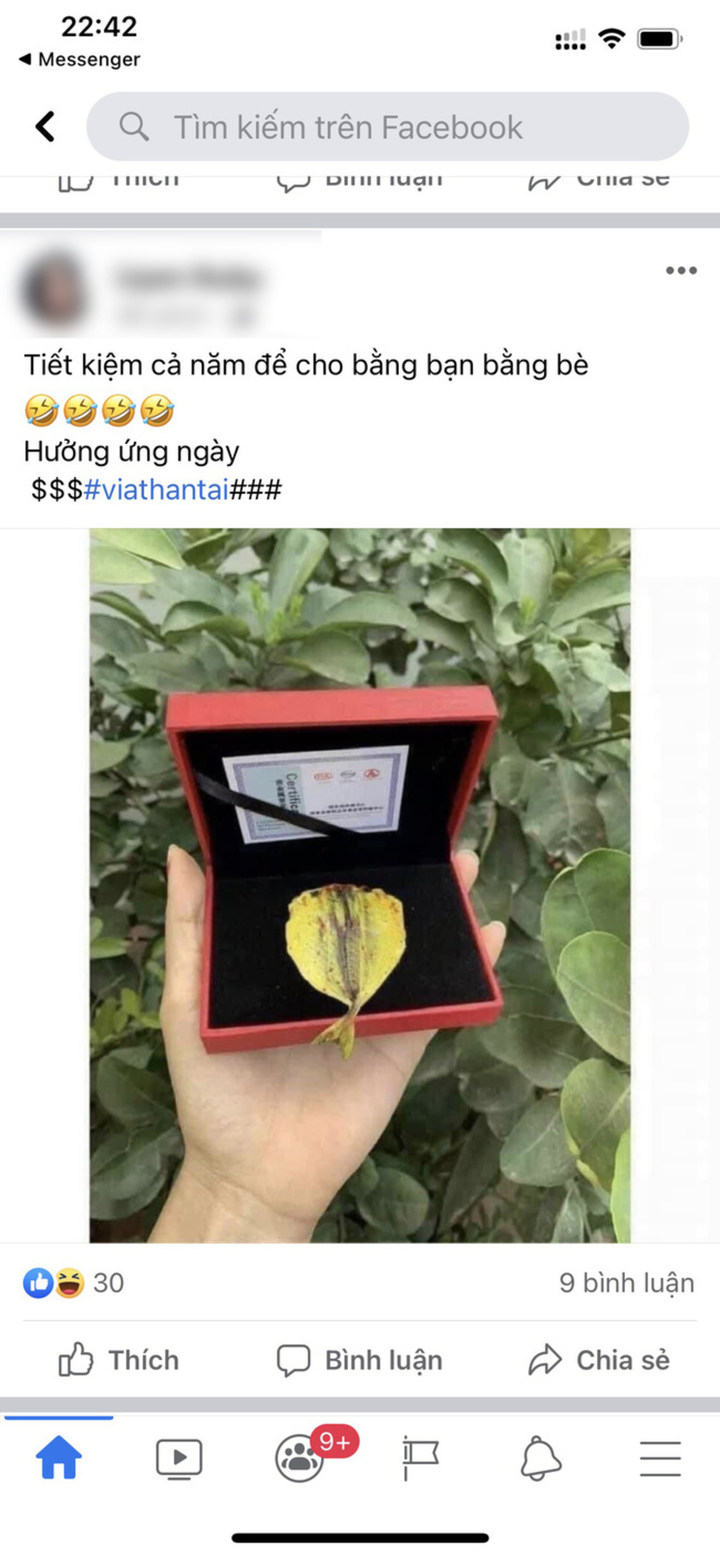 Dân mạng lũ lượt khoe thành quả mua vàng ngày vía Thần Tài, nhưng nhìn cứ lạ lắm - 11