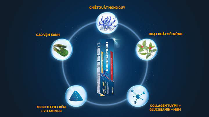 Ra mắt phiên bản nâng cấp Boca Platinum - sản phẩm bảo vệ xương khớp - 2