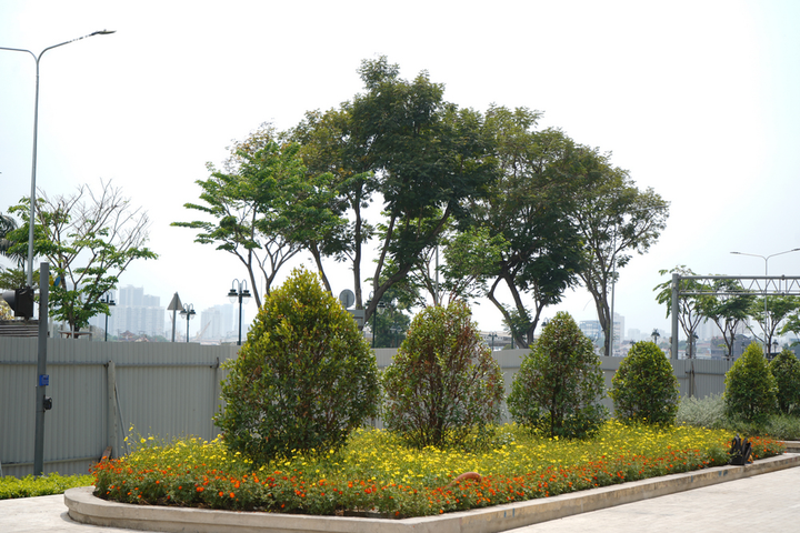 Ảnh: Khu vực tượng đài Trần Hưng Đạo ở TP.HCM thay 'áo mới' - 12