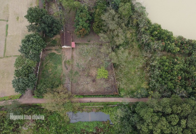 11 con hổ nuôi nhốt trái phép ở Thanh Hóa giờ ra sao? - Ảnh 3. 11 con hổ nuôi nhốt trái phép ở Thanh Hóa giờ ra sao? - 3