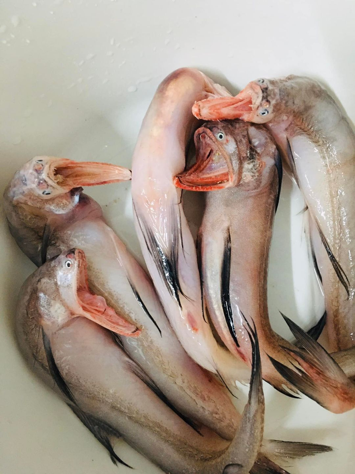 Loạt bữa ăn khiến người nhìn không thể rời mắt vì quá dị, đầu bếp cũng chào thua - 8