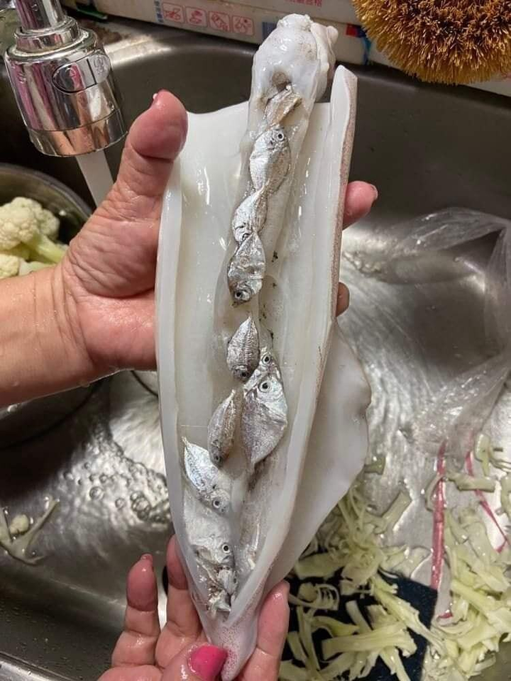 Loạt bữa ăn khiến người nhìn không thể rời mắt vì quá dị, đầu bếp cũng chào thua - 9