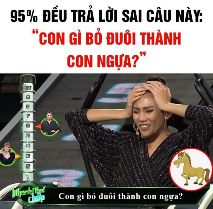 Đố mẹo: Con gì bỏ đuôi thành con ngựa? - 1