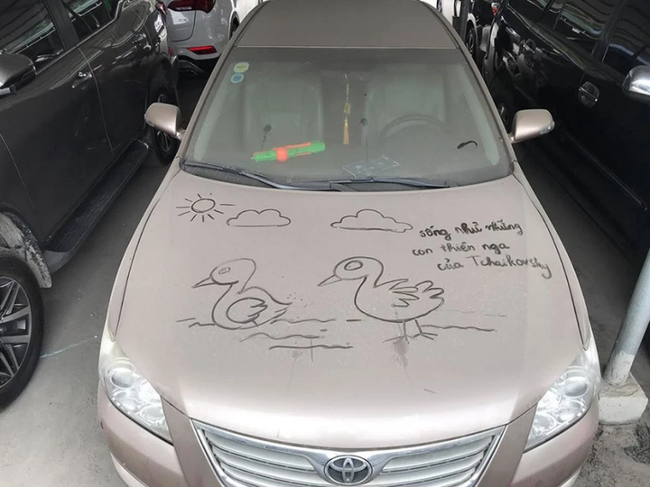 Những chiếc xe phủ bụi được đính thông điệp từ sâu sắc đến cười cạn nước mắt - 5